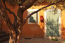 Provencal Courtyard